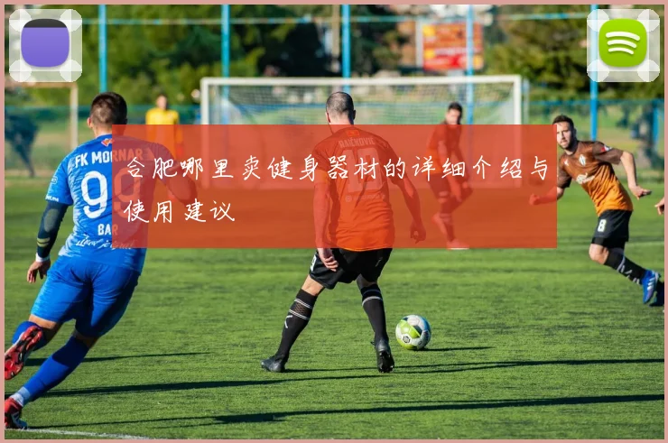 合肥哪里卖健身器材的详细介绍与使用建议