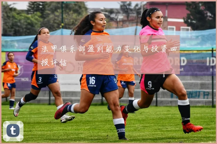 法甲俱乐部盈利能力变化与投资回报评估