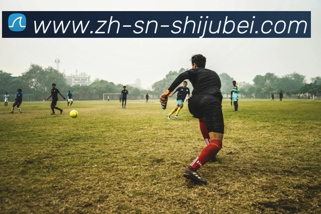 世界杯赛程表APP 高清赛事图